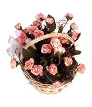 Blumen zum Muttertag